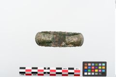 Foto von Bronzemelonenarmreif (NHMW-PRAE-024241)
